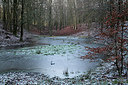 BUITEN BEELD Foto: 270811