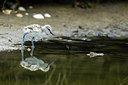 BUITEN BEELD Foto: 270831