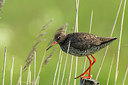 BUITEN BEELD Foto: 270837