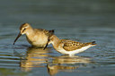 BUITEN BEELD Foto: 270859