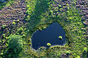 BUITEN BEELD Foto: 270875