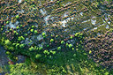 BUITEN BEELD Foto: 270878