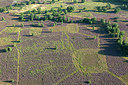 BUITEN BEELD Foto: 270912