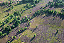 BUITEN BEELD Foto: 270913