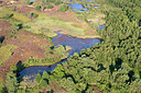 BUITEN BEELD Foto: 270936
