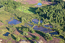 BUITEN BEELD Foto: 270947