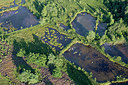 BUITEN BEELD Foto: 270949