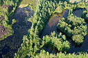 BUITEN BEELD Foto: 270950