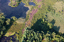BUITEN BEELD Foto: 270952