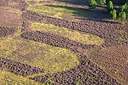 BUITEN BEELD Foto: 270967