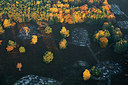 BUITEN BEELD Foto: 271009