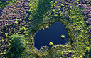BUITEN BEELD Foto: 271035