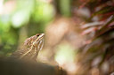 BUITEN BEELD Foto: 271239