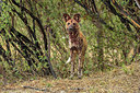 BUITEN BEELD Foto: 271314