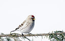 BUITEN BEELD Foto: 271372