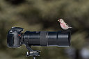 BUITEN BEELD Foto: 271374