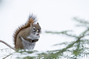 BUITEN BEELD Foto: 271381