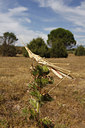 BUITEN BEELD Foto: 271390