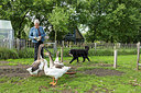 BUITEN BEELD Foto: 271403
