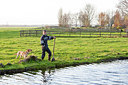 BUITEN BEELD Foto: 271417