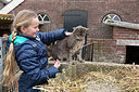 BUITEN BEELD Foto: 271458