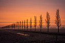 BUITEN BEELD Foto: 271521