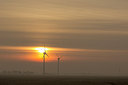 BUITEN BEELD Foto: 271526