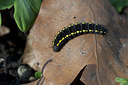 BUITEN BEELD Foto: 271550