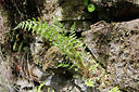 BUITEN BEELD Foto: 271554