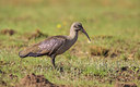 BUITEN BEELD Foto: 271793