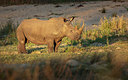 BUITEN BEELD Foto: 271819