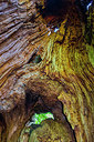 BUITEN BEELD Foto: 271834