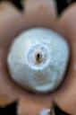BUITEN BEELD Foto: 271911