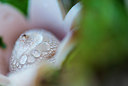 BUITEN BEELD Foto: 271921