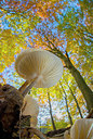 BUITEN BEELD Foto: 271926