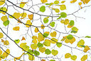 BUITEN BEELD Foto: 271931