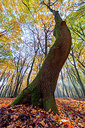 BUITEN BEELD Foto: 272002