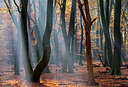 BUITEN BEELD Foto: 272003