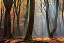 BUITEN BEELD Foto: 272005