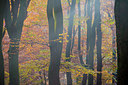 BUITEN BEELD Foto: 272006