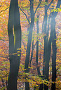 BUITEN BEELD Foto: 272007