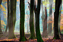 BUITEN BEELD Foto: 272008