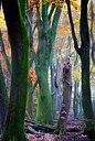 BUITEN BEELD Foto: 272010