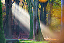 BUITEN BEELD Foto: 272012
