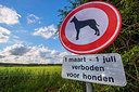 BUITEN BEELD Foto: 272061