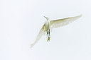 BUITEN BEELD Foto: 272075