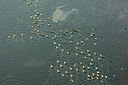 BUITEN BEELD Foto: 272163