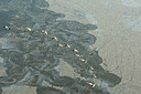 BUITEN BEELD Foto: 272166