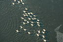 BUITEN BEELD Foto: 272167