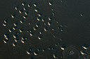 BUITEN BEELD Foto: 272168